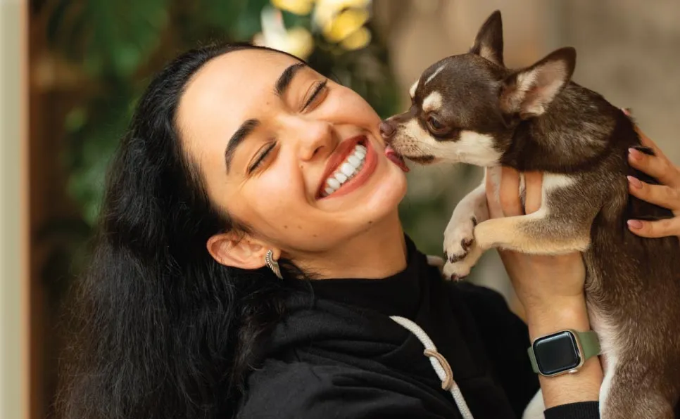 Why Dogs Lick and How to Manage It A Comprehensive Guide