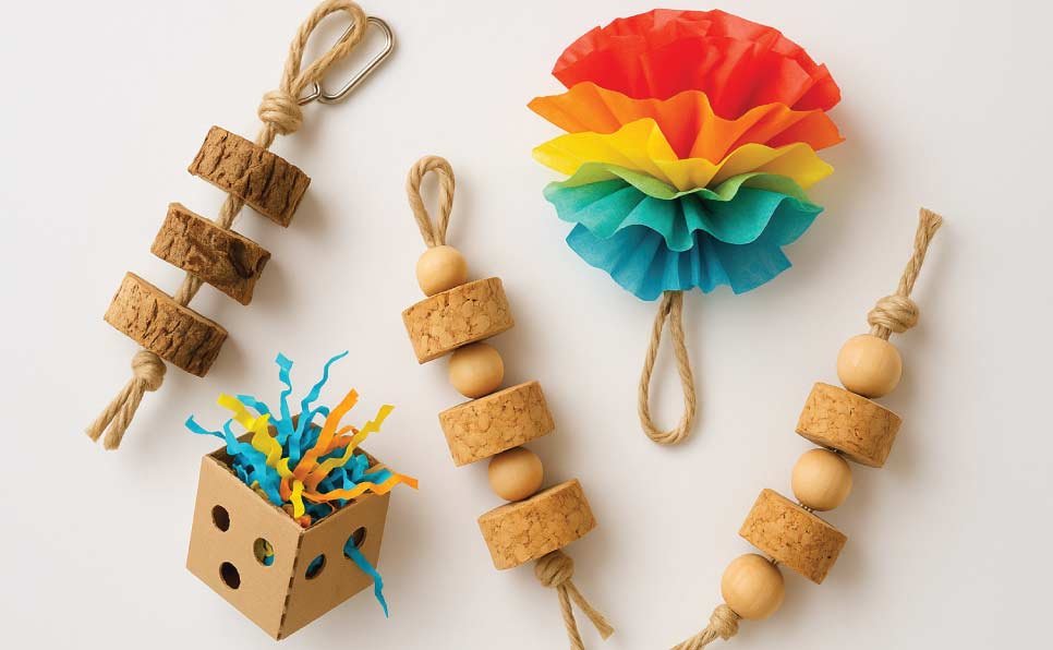 Small-Parrot-DIY-Toys-Enrichment