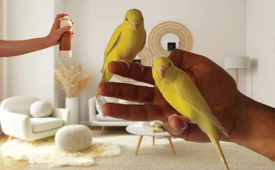 Are-Air-Fresheners-Safe-for-Birds-Understanding-the-Risks-and-Safe-Alternatives
