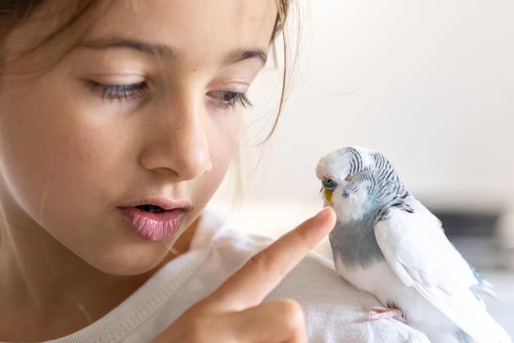 How Long Does It Take to Train a Bird (2)