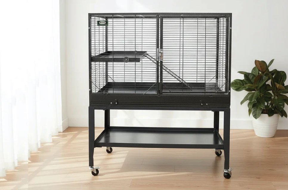 Exotic Nutrition's 2-Level Mansion cage for small animals boasts a sturdy metal frame and 100% metal (no plastic) construction, with 6 inch high plexiglass guards on all four sides.