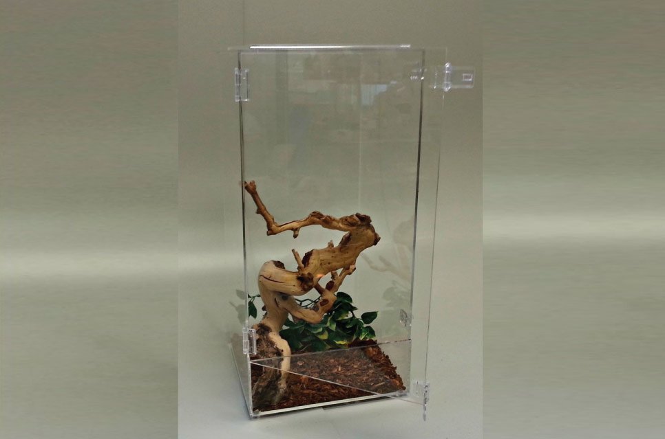 12 x 12 X 24" HIGH x 1/4 Thick Acrylic Arboreal Cage - Door is 12 x 20 approx. Edges are glued with polished edges. Door has two Acrylic Hinges with two Acrylic Hasps and a 10 X 10 " perforated Aluminum screen on top to accommodate your heat lamp.