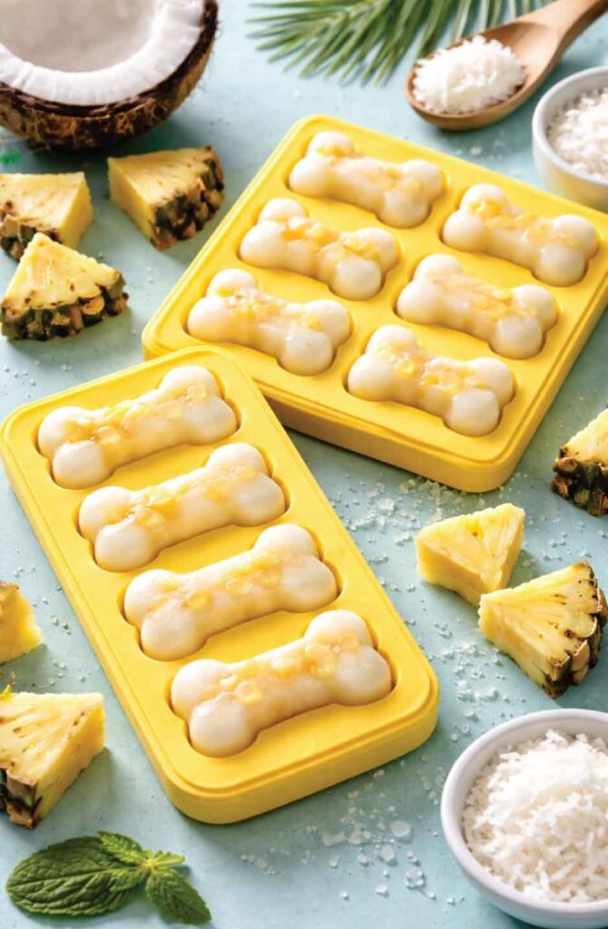 Tropical frozen coconut oil and pineapple dog treats for coat health