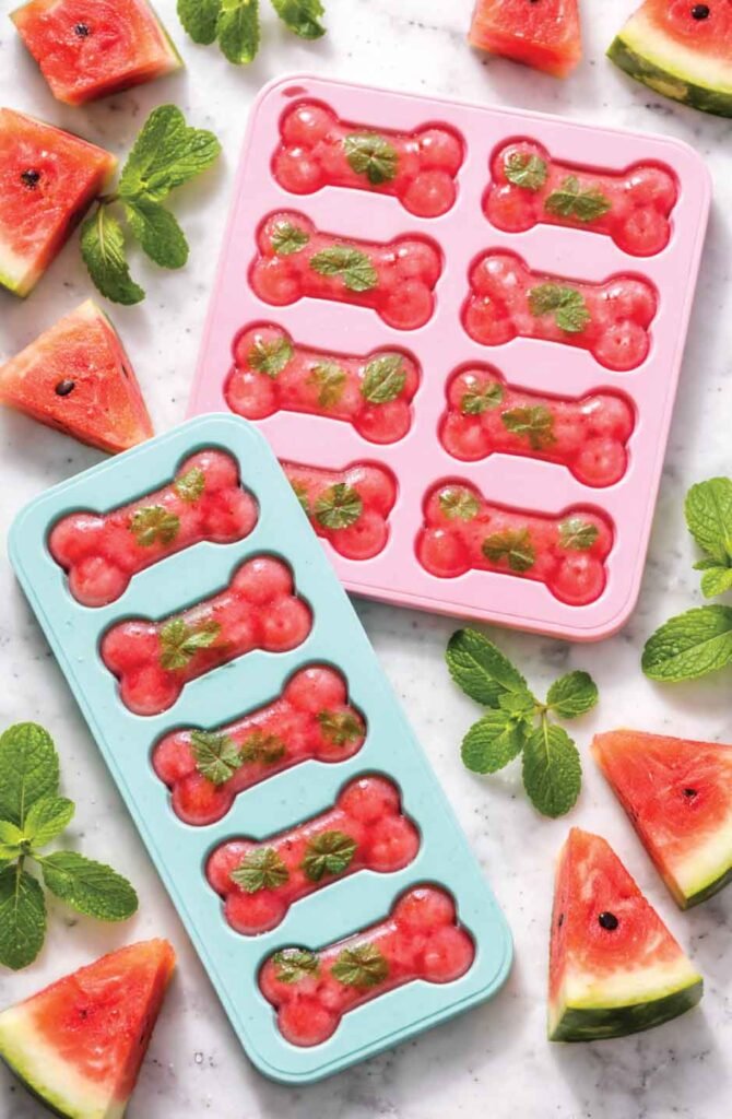 DIY Frozen Dog Treats