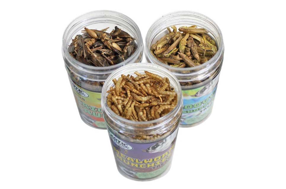 This convenient mix of freeze-dried insects offers a long-lasting, high-protein option that can be easily stored and used as a supplement to your reptile’s diet.