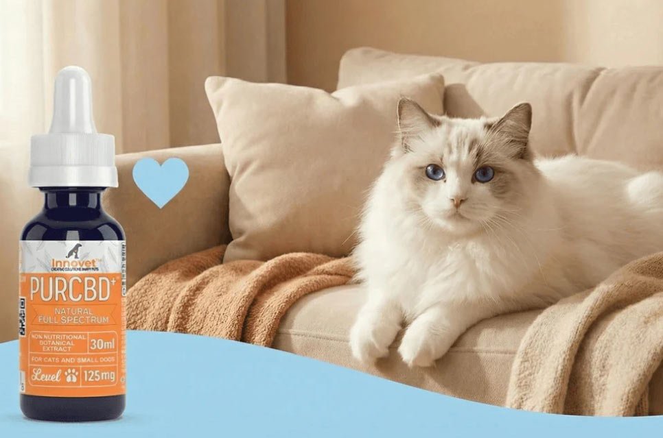 Their formulas are created with cat-friendly ingredients and formats that are easier for picky cats to accept, making daily care simpler for owners.