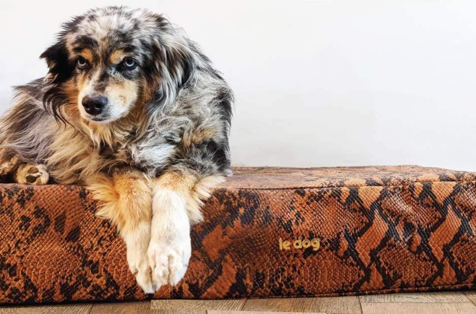 Le Dog Company creates beautifully crafted leather dog beds designed to blend seamlessly into modern living spaces. Combining comfort, durability, and refined design.