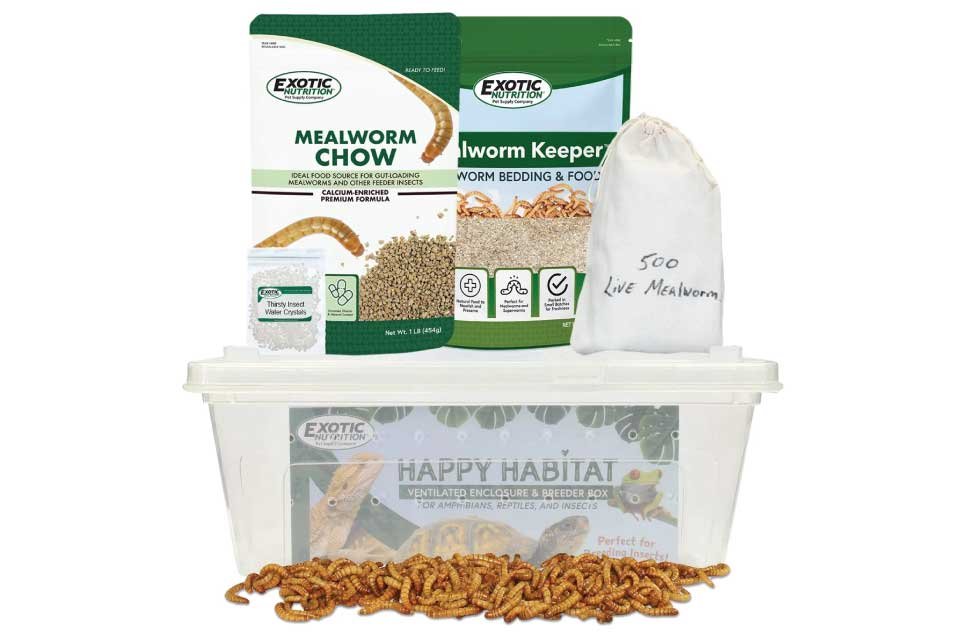 This kit allows you to breed your own live mealworms at home, providing a fresh, sustainable, and cost-effective food source for insect-eating reptiles.