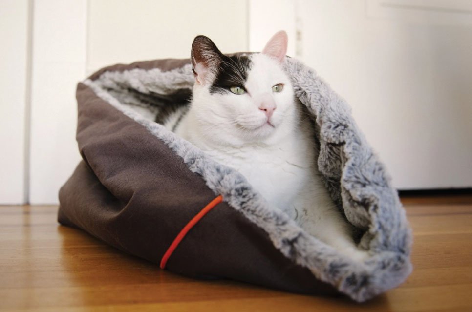 P.L.A.Y.’s new Snuggle Dog and Cat Beds. This convertible snuggle dog bed is perfect for pets who love to burrow in their bed, or just sleep on top of it.