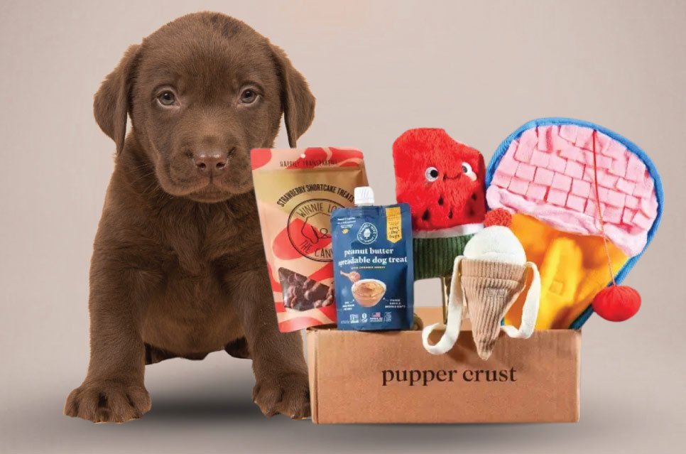 With Pupper-Crust you'll receive two toys and two packs of small-batch, limited-ingredient treats. Our boxes are curated with only high-quality products from American brands.