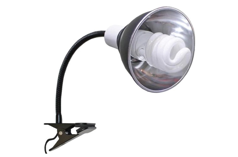 This complete lighting setup makes it easy to provide both UVA and UVB light, helping support your bird’s natural daily rhythm, behavior, and overall wellbeing.