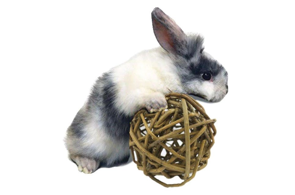 Willow Ball is a wholesome and appealing playtime chew toy made of all natural willow that is safe for your pet to chew. Watch as your pet will nudge, nibble, and chew this fun toy which helps alleviate cage boredom