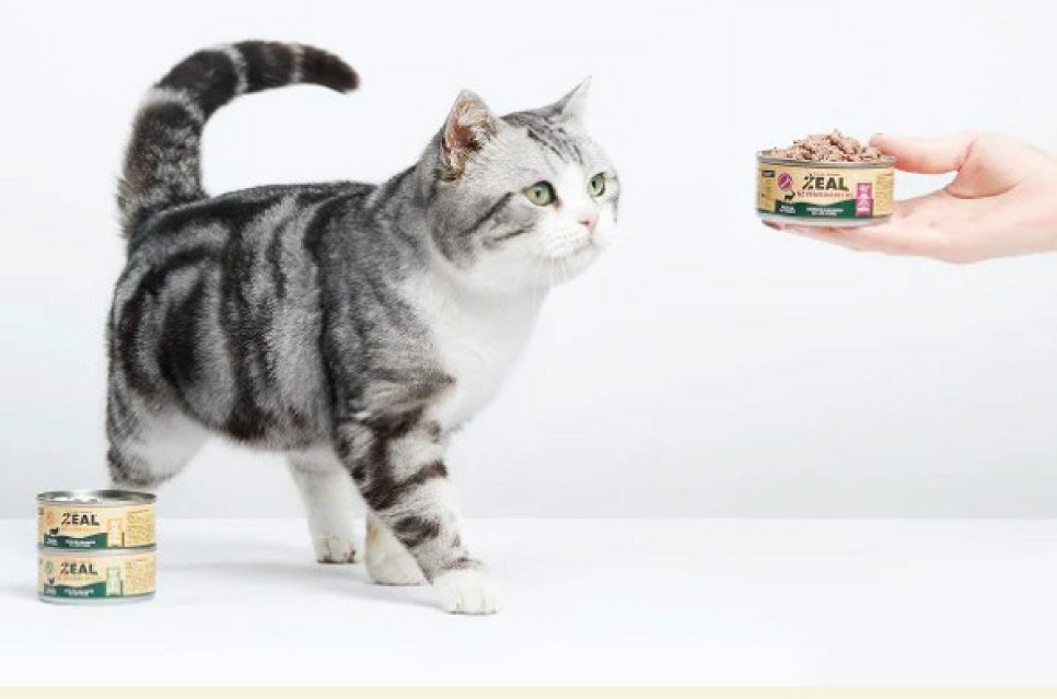 ZEAL offers premium cat nutrition made with carefully sourced ingredients from New Zealand and Canada.
