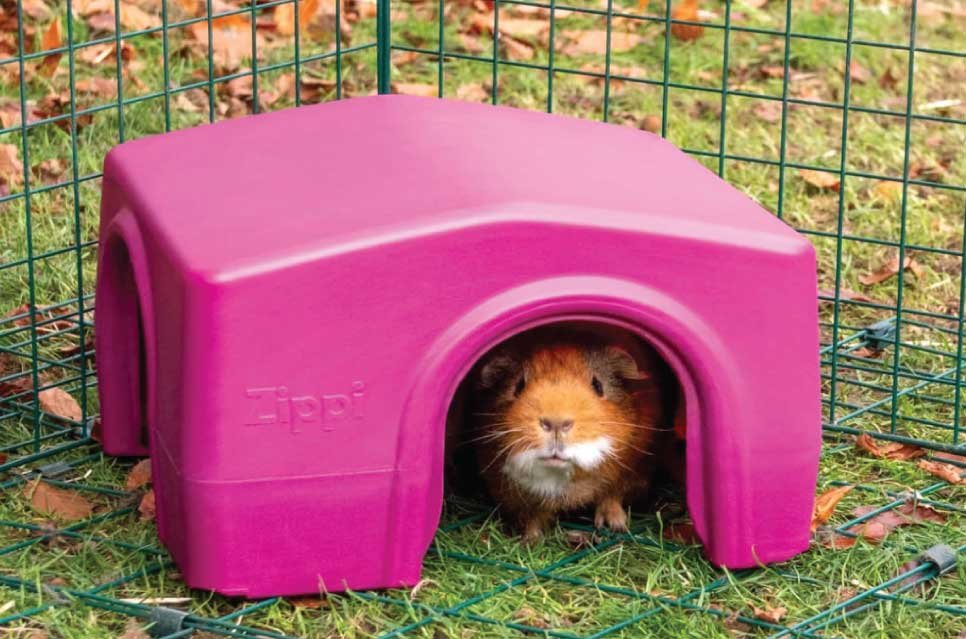 Guinea pigs have a natural instinct to seek a hidey hole and the Zippi Guinea Pig Shelter is perfect for providing protection from wind, rain and sun whilst offering a place where they can feel secure, settled and relaxed.