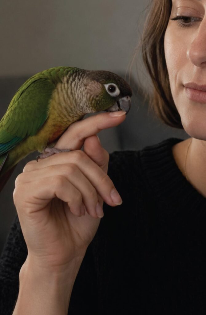 Person keeping a calm, neutral expression while a parrot nips their finger, avoiding accidental reinforcement of bad behavior