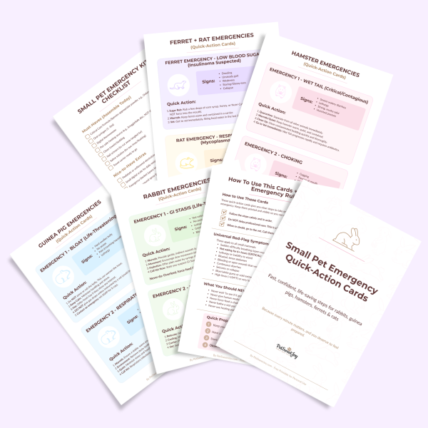 Small Pet Emergency - Quick-Action Cards